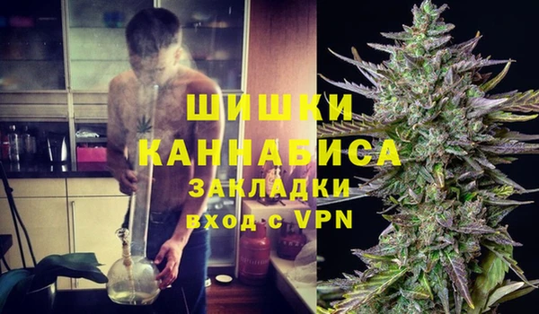 индика Арсеньев