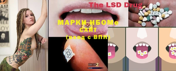 a pvp Аркадак