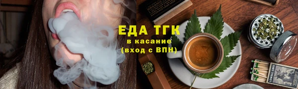 индика Арсеньев