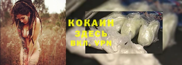 дмт Армянск