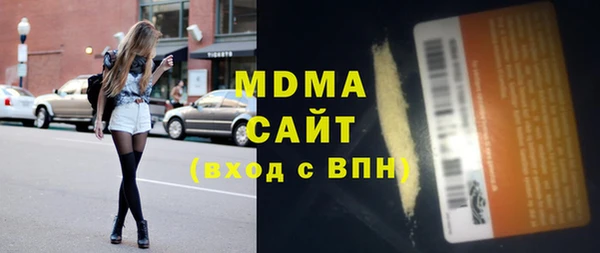индика Арсеньев