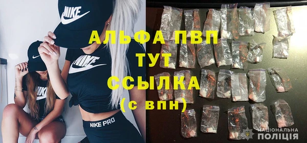 индика Арсеньев