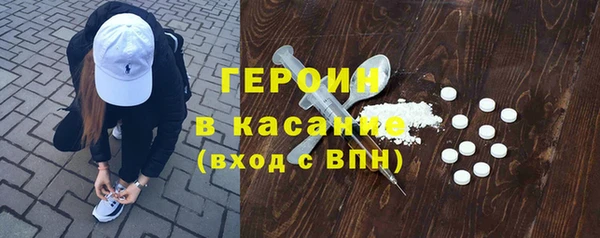 индика Арсеньев
