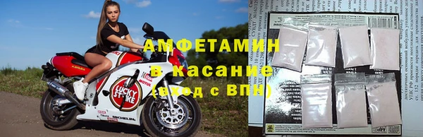 индика Арсеньев