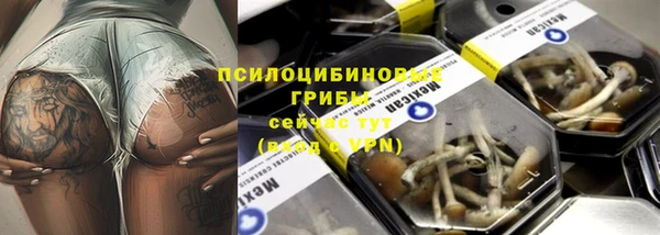 дмт Армянск