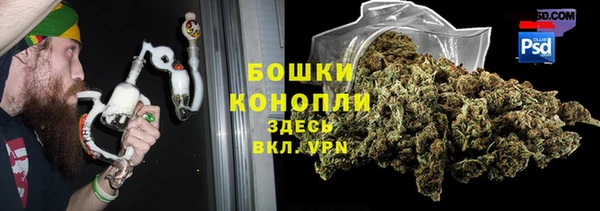 индика Арсеньев