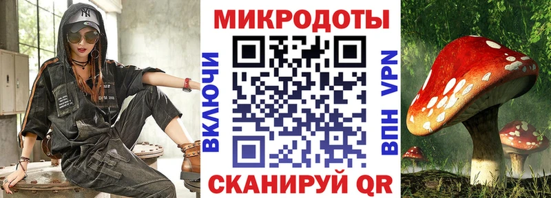 купить наркоту Каменногорск Галлюциногенные грибы Cubensis